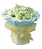 99white Roses with green foliages