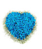 99 blue roses around baby's breath,this is heart shape
