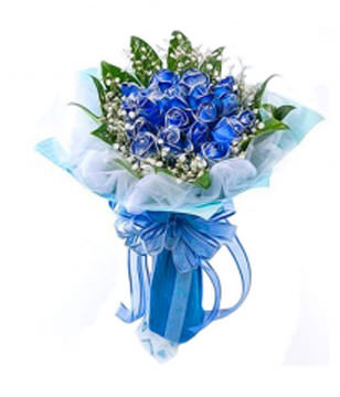 11 blue roses with baby's breath,
