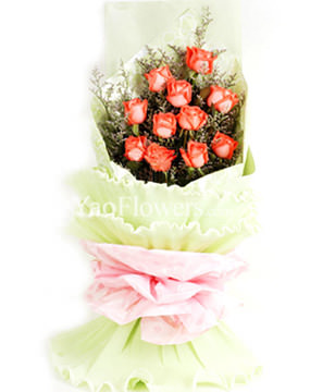 11 pink roses