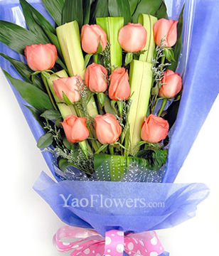 11 pink roses