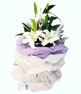 3 white Lilium