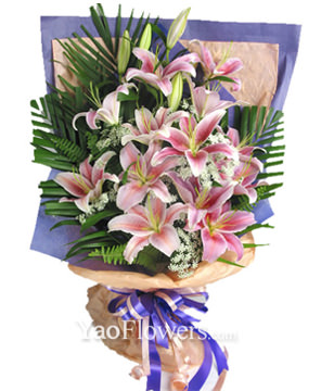 8 pink Lilium