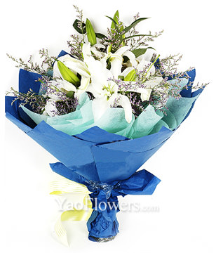 3 white Lilium