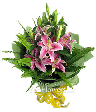 3 pink lilies