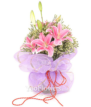 3 pink lilium