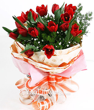 16 red tulip