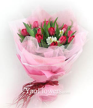 12 red tulip