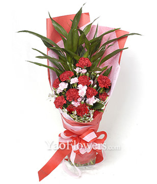 12 red carnations