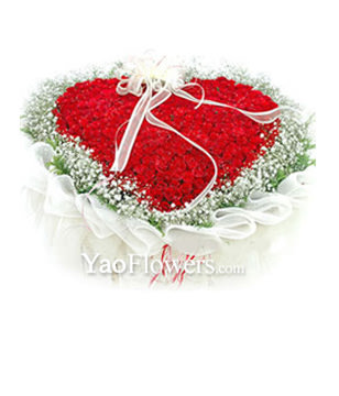 365 red roses,baby's breath surounding