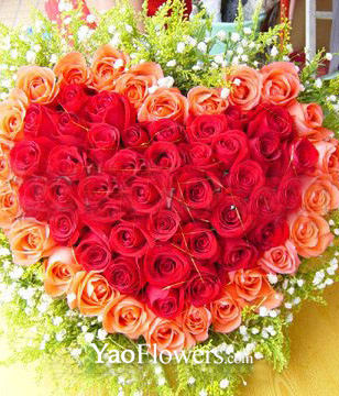 36 red roses and 19 pink roses