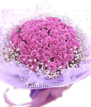 99 Purple roses with baby's breath