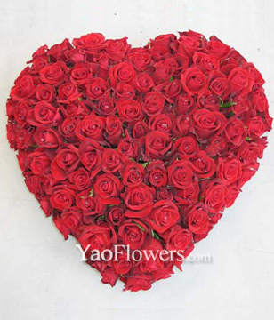 99 red roses,heart-shaped