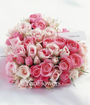 66 Pink Rose in Heart-Shaped