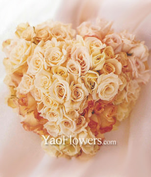 66 pink roses with heart-shaped