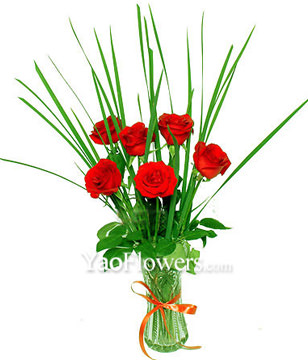 6 Red roses with baby's breath