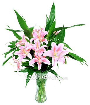 6 Pink lilium,6 FUGUI bamboo
