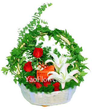 One Box of Chocolate,6 red roses,2 white lilium