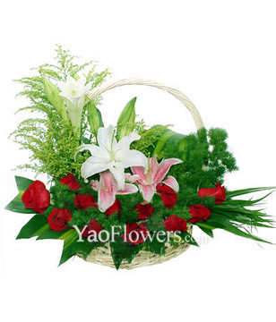 12 Red Roses,White Lily,Pink Lily,Brazil