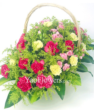 20 Pink Carnations,10 Yellow Carnations