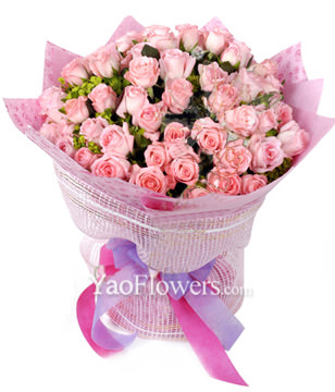 99 Pink roses with rich green foliages