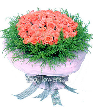 99 Pink roses,green foliages