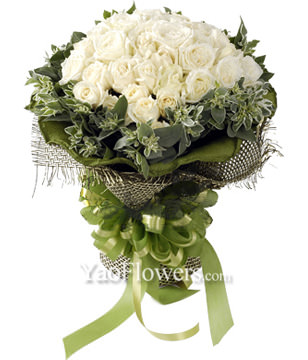 33 White roses