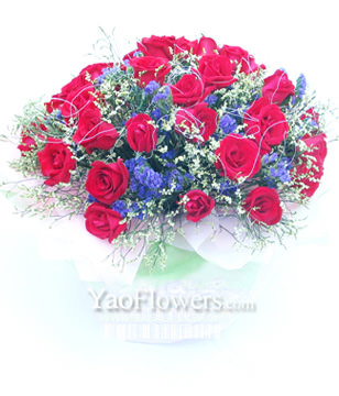 33 Red roses