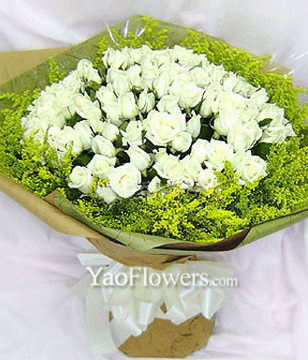 99 White Roses,Canada Huangyin