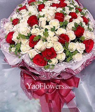 22 Red Rose, 77 White Roses