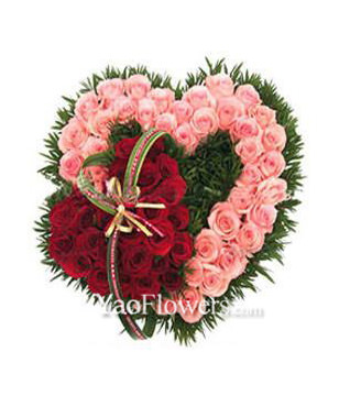 30 red roses, 36 pink roses