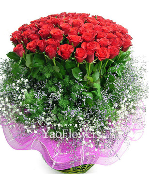 66 red roses