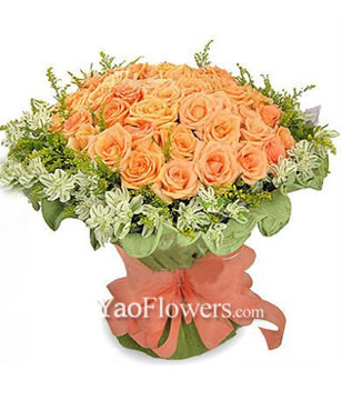 66 champagne roses