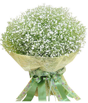 baby's breath packed in perfectly round