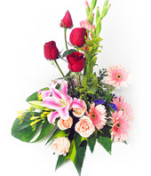 4 red roses,4 champagne roses,4 pink african daisy ,2 pink lilies