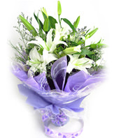 5 white Lilium