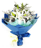 3 white Lilium