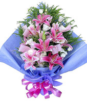 6 pink Lilium