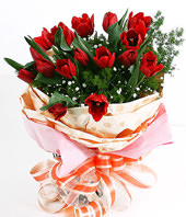 16 red tulip