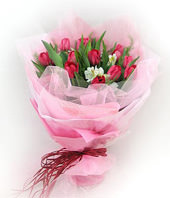 12 red tulip