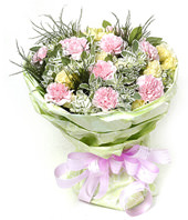 12 pink carnations