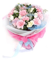 12 pink carnations,9 white roses