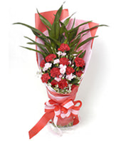 12 red carnations