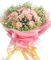 22 pink carnations