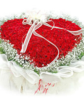 365 red roses,baby's breath surounding