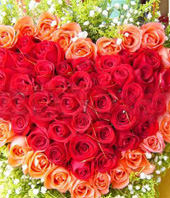 36 red roses and 19 pink roses