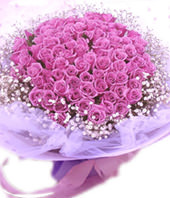 99 Purple roses with baby's breath