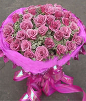 36 Purple roses
