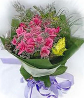 19 Purple Roses with green foliages
