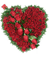 66 red roses,heart-shaped